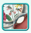 Thumb-cataract-herbal-medicinal-image