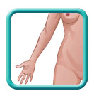 Thumb-female-anatomy-image